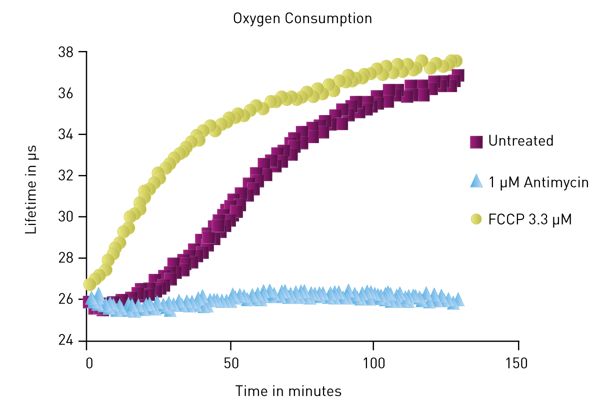 Fig. 1: Different levels of oxygen consumption displayed by cells treated with antimycin and FCCP as compared to untreated cells