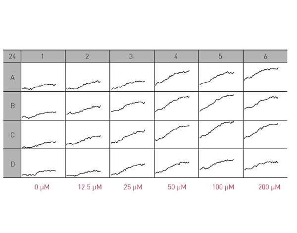 Fig. 2: Propidium iodide fluorescence measurements at various concentrations of glutamate.