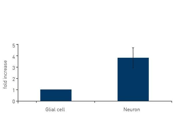 Fig. 4: Relative thioredoxin activity of neurons versus glial cells.