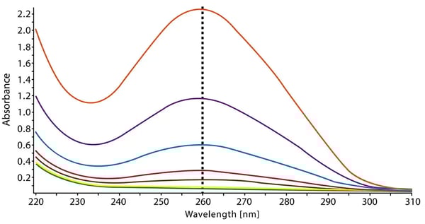 Fig. 5: Absorbance spectrum of different concentrations of calf thymus DNA recorded on a BMG LABTECH microplate reader. Detection range is between 220 and 310 nm and resolution was set at 1 nm. 
