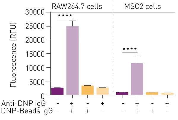 Fig. 2: Fluorescent detection of peroxynitrite upon antibody-dependent cellular phagocytosis of Tentagel beads by treatment of cell lines with PS3 (10 μM). Each condition was analyzed with 4 replicates.