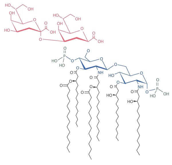 Fig. 2: Lipid A endotoxin from Escherichia coli K12. This ﬁgure is licensed under the Creative Commons Attribution-Share Alike 3.0 Unported licenses and was adapted from: http://www.jlr.org/content/47/5/1097.full.