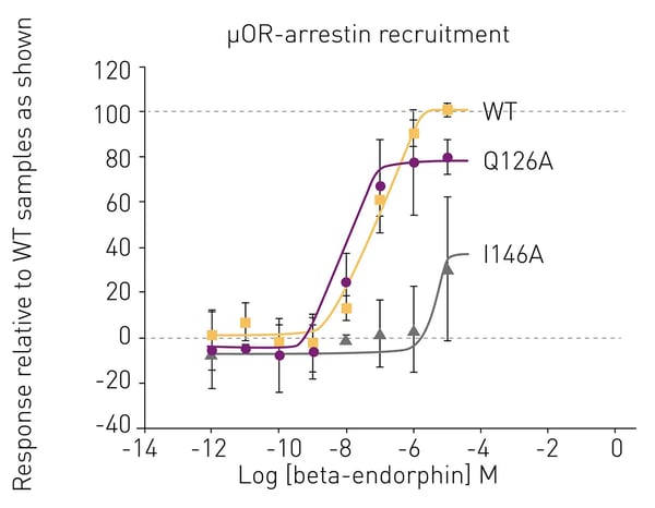 Fig. 3:  β-Arrestin recruitment assay for WT and mutant μ-human opioid receptors in the presence of different concentrations of β-endorphin.