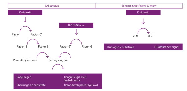 Fig. 2: Recombinant factor C (rFC) assay versus LAL test