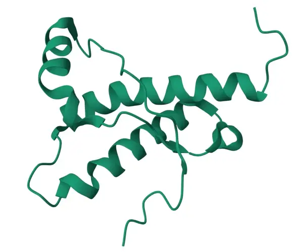 Fig. 1 : Three-dimensional structure of the recombinant elk prion protein (ePrP). Credit: Image from the RCSB PDB (RCSB.org) of PDB – 1XYW Gossert et al. (2005) Prion protein NMR structures of elk and of mouse/elk hybrids. Proc Natl Acad Sci U S A. 2005 Jan 18;102(3):646-50. doi: 10.1073/pnas.0409008102. Epub 2005 Jan 12. PMID: 15647363; PMCID: PMC545551.