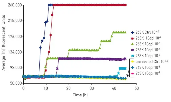 Fig. 5: RT-QuIC end-point dilution analysis of three 263K-inoculated preclinical 10 days post injection with hamster brain homogenates.
