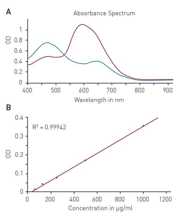 Fig. 3: Bradford protein quantiﬁcation assay. A) Absorbance spectrum of Coomassie Brilliant Blue G 250 (without protein – blue, in presence of BSA – red) B) Protein standard curve of BSA.