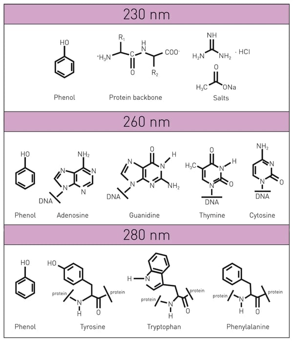 Fig. 4: Absorbance of nucleobases and potential contaminants.