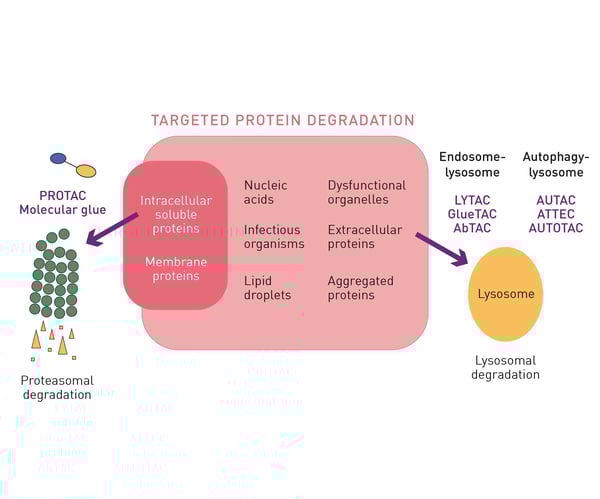 Fig. 4. Different approaches and technologies for targeted protein degradation.