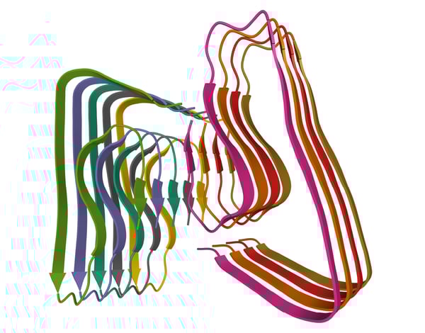 Fig.1: The fibril structure of beta-amyloid.