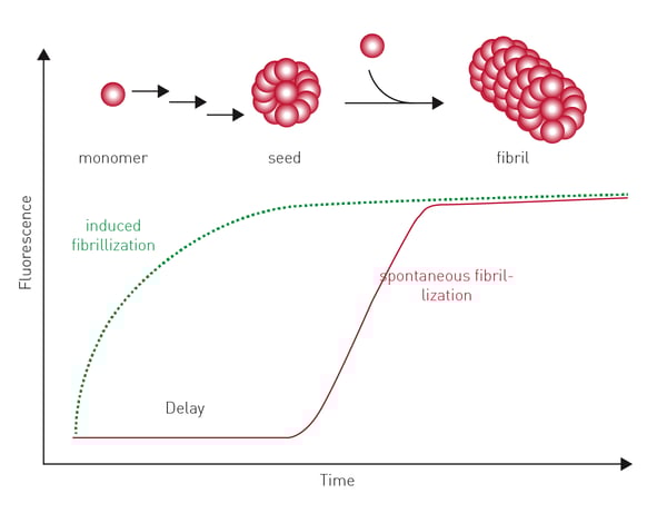 Fig. 2: Fibrillization process followed over time.