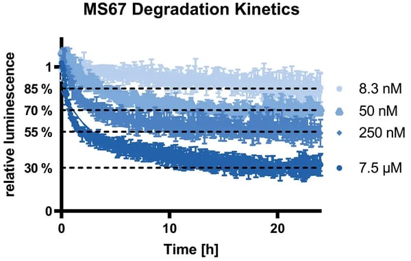 Fig. 5: Protein degradation kinetics for a potent and selective degrader. Interactions between degrons, E3 ligases and its various partners ultimately lead to protein degradation. This can be measured in cell-based assays by monitoring the decrease in luminescence signal from labelling technologies like the HiBiT tag.