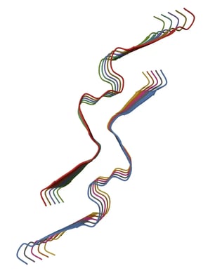 Fig. 2: Three-dimensional structure of a beta-amyloid 40 fibril (40-amino-acid peptide of beta-amyloid). Credit: Image from the RCSB PDB (RCSB.org) of PDB - 8J47: Tehrani MJ et al. (2024). E22G Aβ40 fibril structure and kinetics illuminate how Aβ40 rather than Aβ42 triggers familial Alzheimer's. Nat Commun. 2024 Aug 15;15(1):7045. doi: 10.1038/s41467-024-51294-w. PMID: 39147751; PMCID: PMC11327332.
