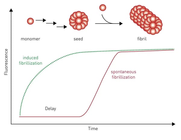 Fig. 4: The process of fibril formation versus time.