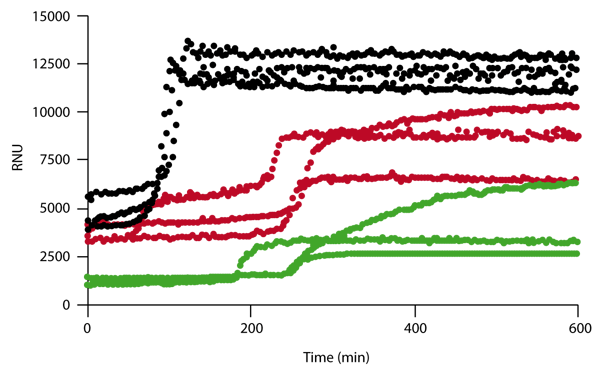Fig. 1: Nephelometry assay using sera from adult 10- to 16-month- old noncalcifying wild-type DBA/2 mice (green), noncalcifying heterozygous fetuin-A+/2 knockout mice having half-normal serum fetuin-A (red), and heavily calcifying fetuin-A–deficient homozygous fetuin-A2/2 knockout mice (black).