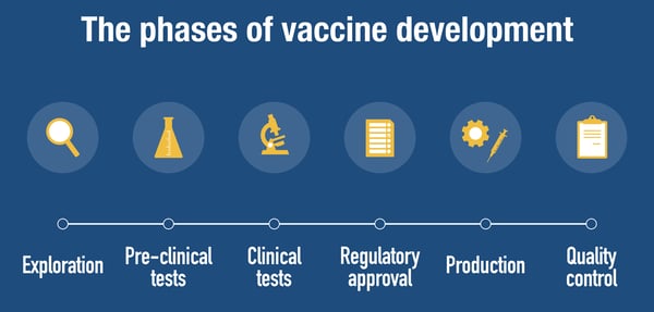 Fig. 2: Stages of vaccine development.