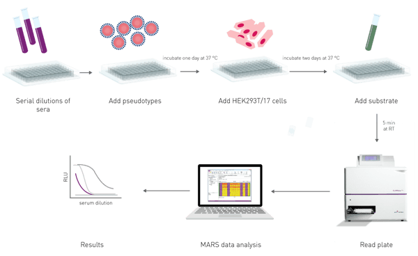Fig. 12: a neutralization assay overview. In a luminescence-based neutralization assay, virus pseudotypes are pre-incubated with neutralizing samples such as sera of immunized organisms or antibodies. Subsequently, cells are added and incubated with the virus samples to allow infection. Upon addition of the luciferase substrate, luminescence is measured on a microplate reader. Neutralized viruses are not capable of infecting cells and display low luminescence while infectious pathogens show high luminescence.