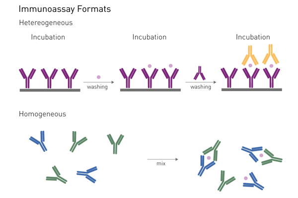 Fig. 9: the difference between heterogeneous (ELISA) and homogeneous immunoassays. Due to their nature and chemistry, homogeneous immunoassays do not require washing steps to remove unbound components from the well. They can be immediately measured upon incubation.