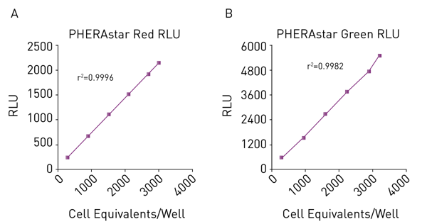 Fig. 3: Linearity and sensitivity of Chroma-Glo™ chemistry using red (CBRluc; Panel A) and green (CBG99luc; Panel B) luciferases. Cell equivalents of 300-3.000 were run on the Equator™ NS-808 and read using the PHERAstar instrument. All assays were performed with an 8µl total volume in 1536-well format.