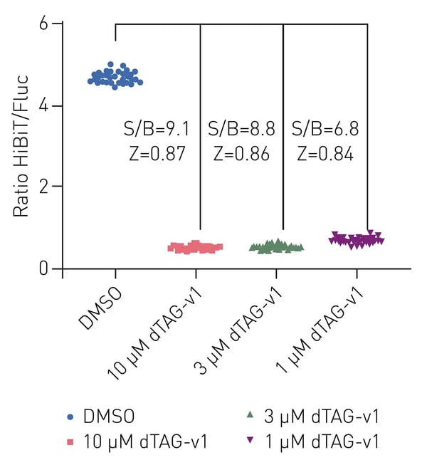 Fig. 1: Z prime calculations for IP1 (top graph, red) and cAMP (bottom graph, green) using 0 and 10 μM of vasopressin.