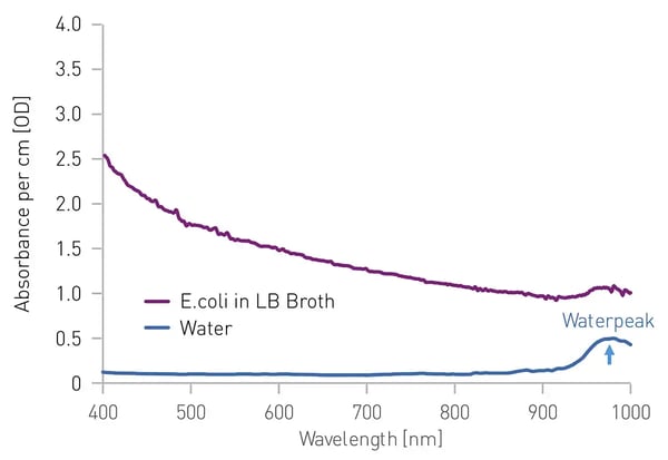 Fig. 6: Absorbance spectra of pure water and an E. coli suspension in LB broth.