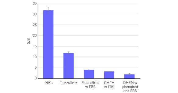 Fig. 2: The use of media containing autoﬂuorescent supplements decreases the Signal-to-Blank (S/B) ratio.