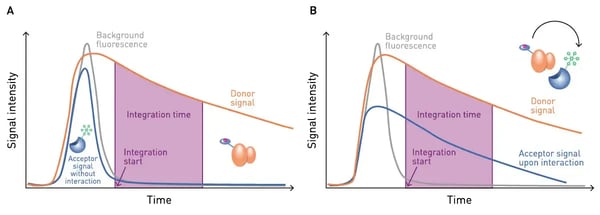 Fig. 4: Emission signals of a TR-FRET assay. Without interaction (A) or with interaction (B) the donor signal is always present and shows a long-lasting emission decay curve. Without interaction the acceptor only shows unspeciﬁc short-lived ﬂuorescence like other background substances. Upon binding, energy is transferred from the donor to the acceptor ﬂuorophore resulting in a long-lived emission signal of the acceptor.