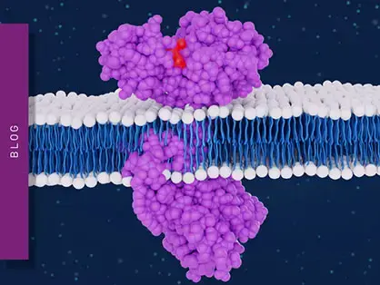 binding-constants-teaser