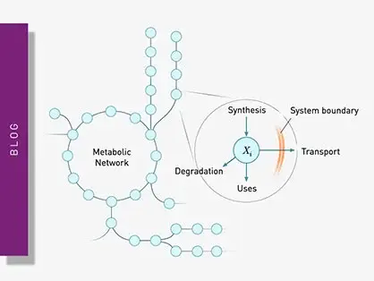metabolic-flux-teaser