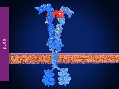 receptor-ligand-interactions-teaser