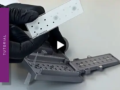 lvis-plate-howto-teaser