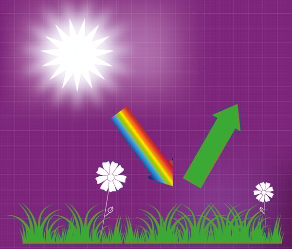 Figure 1. a) Absorbance is when light is taken up by matter. Such as grass grabs the energy of all but the green light which is reemitted.