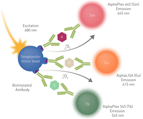 Fig. 5: AlphaPlex: streptavidin donor beads interact with AlphaLISA, AlphaPlex 545 and AlphaPlex 645 acceptor beads for three different analytes. The donor beads act as the source of singlet oxygen.