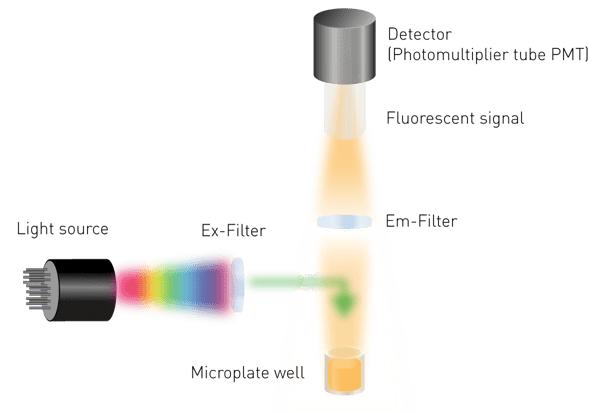 Fig. 4: simplified construction of a fluorescence intensity detection system in a microplate reader.