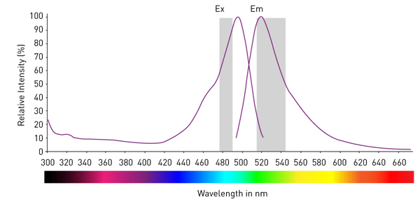 Fig. 7: schematic of excitation and emission filters for fluorescein superimposed to their spectra. The highest transmitted excitation and the lowest transmitted emission wavelengths should be 30 nm apart.