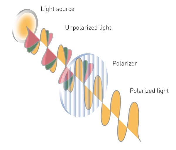 Fig. 1: Difference between unpolarized and polarized light. In unpolarized light, the direction of the oscillation of its electric field randomly fluctuates in time. If these oscillations are selected by a specific filter, all selected light waves will oscillate in a single plane.