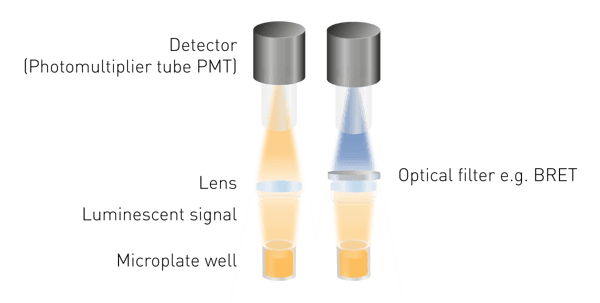 Fig. 5: Simplified construction of a luminescence detection system in a microplate reader.