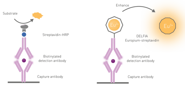 Fig. 6: Comparison of standard ELISA (left) and time-resolved fluorescence (DELFIA; right) immunoassays. Time-resolved fluorescence immunoassays can be used as sandwich-type or competitive assays. After target binding, europium ions are dissociated from the antibody, a new chelate in solution is formed and time-resolved fluorescence is detected by the plate reader.