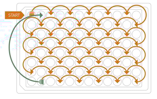 Fig. 5: In interlaced reading, every other well is measured until the end of the microplate is reached. Then the remaining wells are measured by the microplate reader. The spatial and “temporal” distance significantly reduces cross-talk.