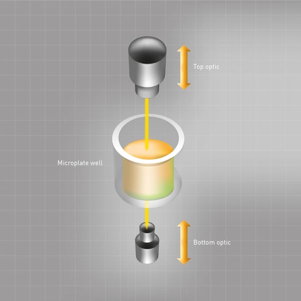 Fig. 1: BMG LABTECH's auto Z-height focus scans the sample from either the top or bottom of the plate and determines the height at which the strongest signal can be measured