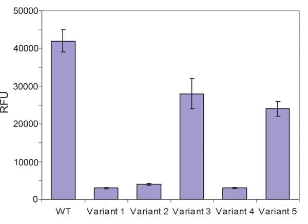 Fig. 2: Endpoint fluorescence measurements associated with binding of fibril-specific Thioflavin-T.