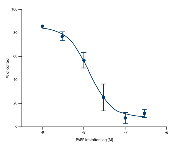 Fig. 2: Cellular PARP activity in LoVo cells treated with PARP inhibitor for 1h.