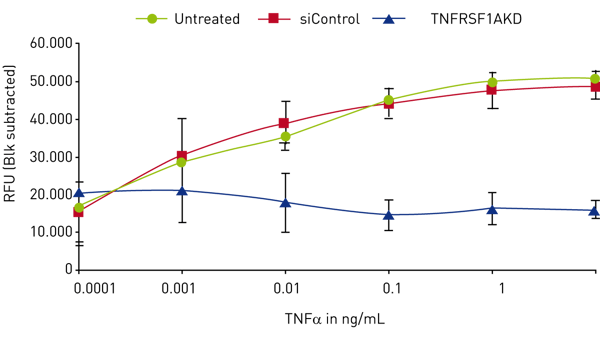 Fig. 3: Adhesion of Cell tracker green labelled HL60 cell line to TNFa treated HUVEC following siRNA gene knockdown (TNFRSF1AKD).