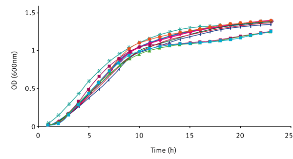 Fig. 2: Batch growth curve of V. fischeri strains grown in LBS and SWT with and without addition of 10 mM 3-oxo-C6-HSL.