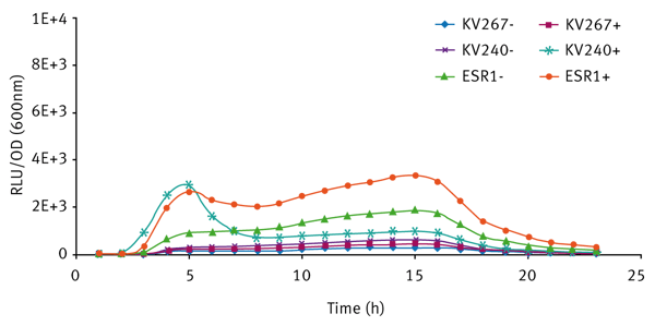 Fig. 3: Bioluminescence expression of V. fischeri strains grown in LBS (+ means addition of 10 mM 3-oxo-C6-HSL; - means no 3-oxo-C6-HSL).