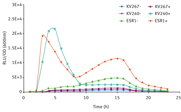 Fig. 4: Bioluminescence expression of V. fischeri strains grown in SWT (+ means addition of 10 mM 3-oxo-C6-HSL; - means no 3-oxo-C6-HSL).