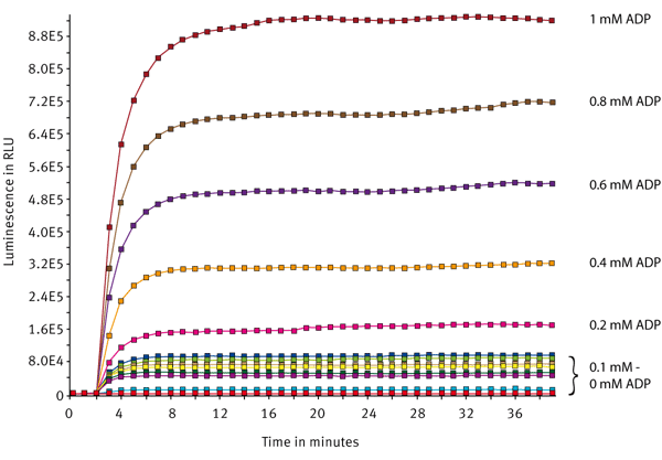 Fig. 2: Signal curves for several dilutions of ADP/ATP standard measured on the PHERAstar FS. The gain was set to 2400.