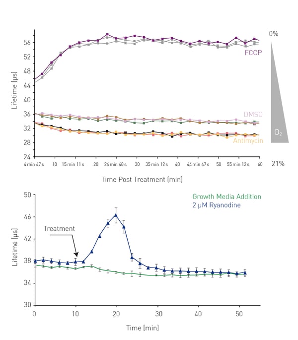 Fig. 4: Consistency of response & inhibition and uncoupling of ETC activity (A) and kinetic analysis of metabolic responses agonist treatment (B).