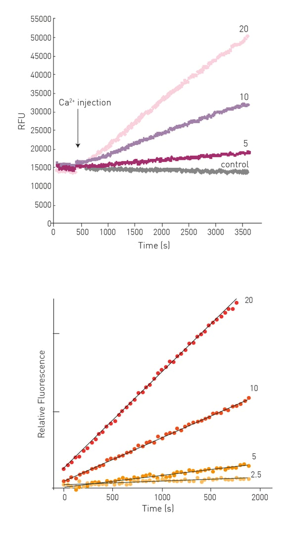 Fig. 3: Raw data (A) and processed data (B) of substrate Abz-APE (g-cad-Dnp) QEA conversion at different concentrations of TG2 (2.5 – 20 µg/ml). Control given represents 20 µg/ ml TG2 without Ca2+ injection. Data processing involved normalization for well-specific fluorescence and subtraction of control to account for fluorescence bleaching.