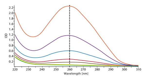 Fig. 1: Absorbance spectrum of different concentrations of calfthymus DNA recorded on the POLARstar Omega. Detection range is between 220 and 310 nm and resolution was set at 1 nm.